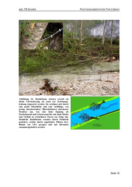 Toplitzbach - Hochwasserschutz mit fischökologischer Fachplanung