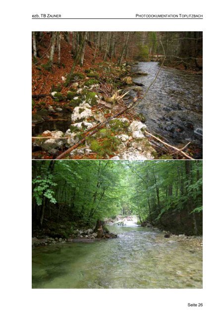 Toplitzbach - Hochwasserschutz mit fischökologischer Fachplanung