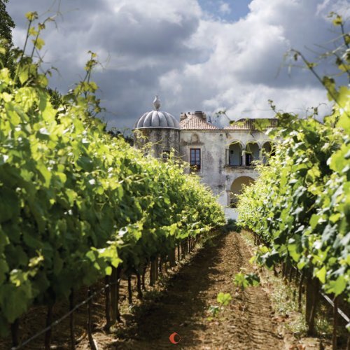Catalogue Portugal FR - Chacalli Wines