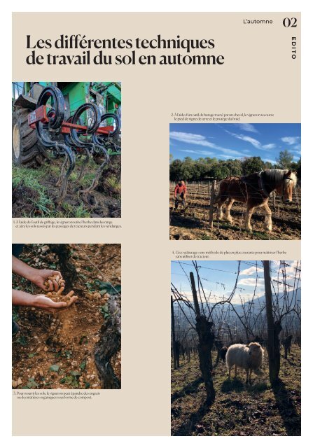 CP_GAZETTE_VIGNE_DOMAINE_GRAVENNES OK