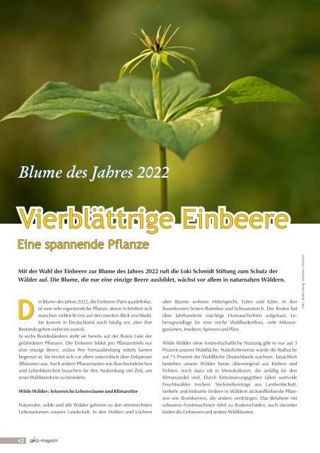 pfalz-magazin Feb-März 2022 Frühjahr