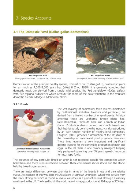 Poultry in the United Kingdom - Defra