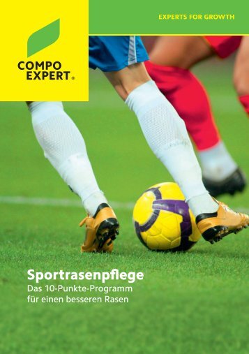 10 Punkte Programm für den Sportrasen