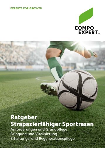 Ratgeber Sportrasen 