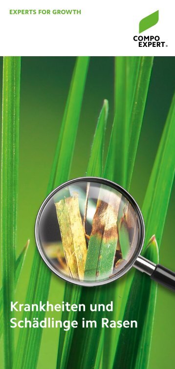Rasenkrankheiten 