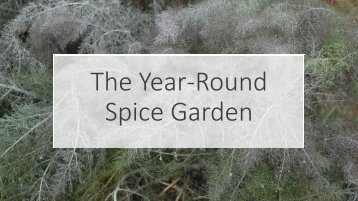 Year Round Spice Garden