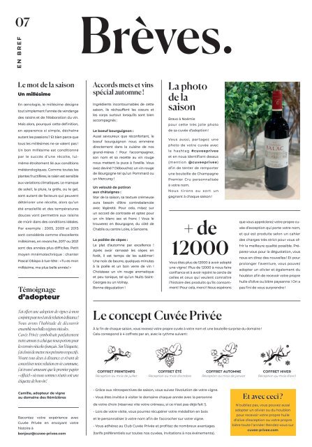 CP_GAZETTE_VIGNE_DOMAINE_ CLUZEAUD