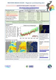 WIO bleaching alert-22-02-01