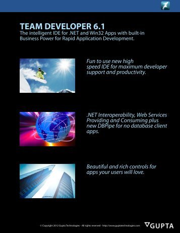 Team Developer 6.1 Datasheet - Gupta Technologies