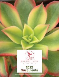 2022 Botany Finished Succulents