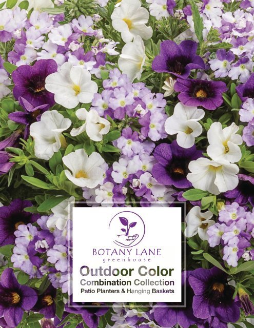 2022 Outdoor Color Combination Collection- Patio Planters & Hanging Baskets