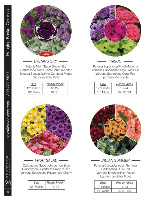 2022 Outdoor Color Combination Collection- Patio Planters & Hanging Baskets