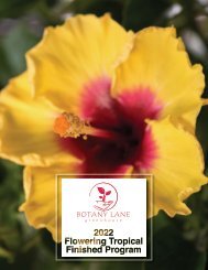 2022 Flowering Tropical Finished Program