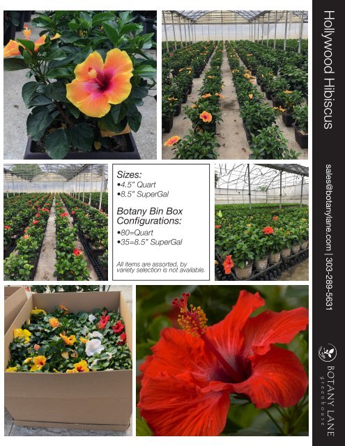 2022 Flowering Tropical Finished Program