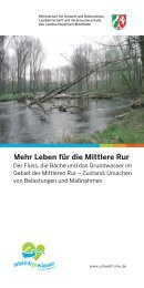 Mehr Leben für die Mittlere Rur - Flussgebiete in NRW