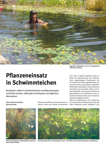 Pflanzeneinsatz in Schwimmteichen - Teich und Garten