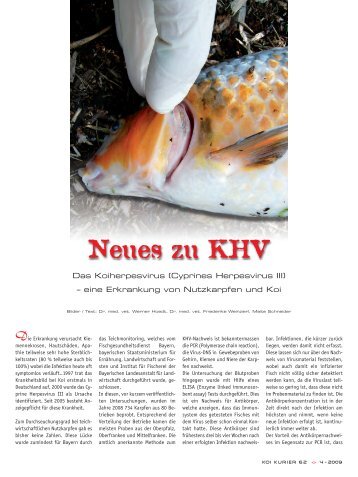 Neues zu KHV - Koi Kurier