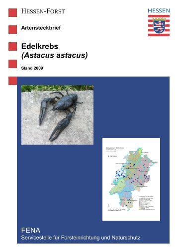 Artensteckbrief Edelkrebs (Astacus astacus) - Landesbetrieb ...