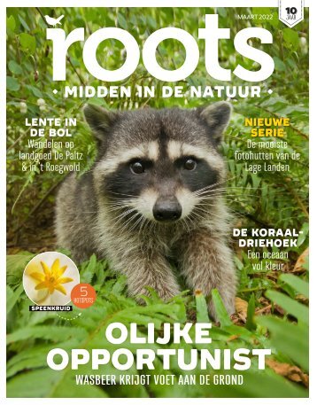 Roots editie 3 - 2022 - Inkijkexemplaar