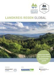 Landkreis Regen Global