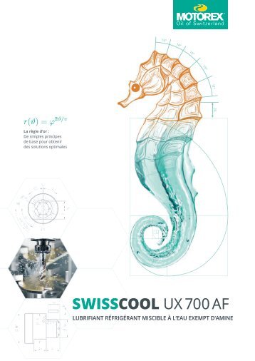 SWISSCOOL UX700 AF FR