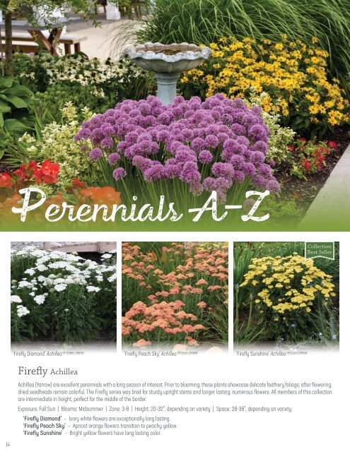 Proven Winners Perennial Program Guide 2nd Ed