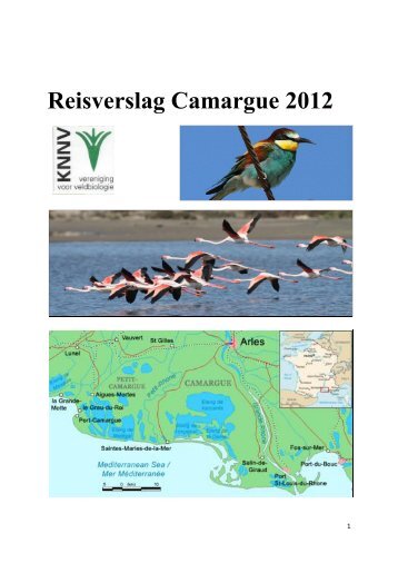 2012 Reisverslag Camarque.pdf
