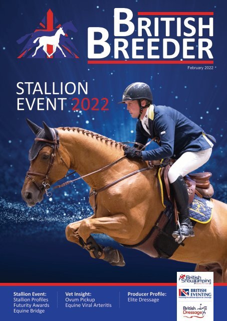 Gold Digger Z – Dutch Sport Horse Sales