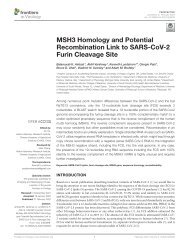 MSH3 Homology and Potential Recombination Link to SARS-CoV-2 Furin Cleavage Site