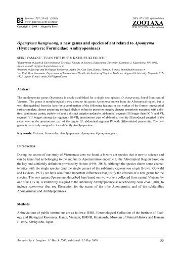 Zootaxa, Opamyrma hungvuong, a new genus and species of ant ...