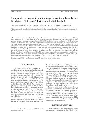 Comparative cytogenetic studies in species of the subfamily Cal ...