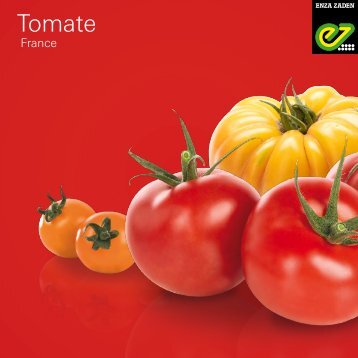 Catalogue TOMATE - 2022