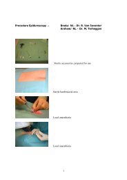 Epiduroscopy - Procedure - PolyDiagnost