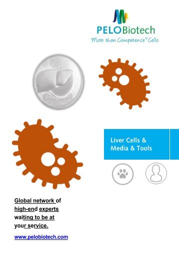 Liver Cells, Media & Tools