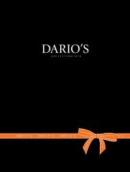 DARIO'S BOOK N°13