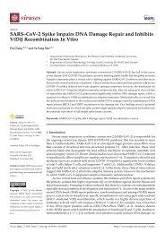 SARS–CoV–2 Spike Impairs DNA Damage Repair and Inhibits V(D)J Recombination In Vitro