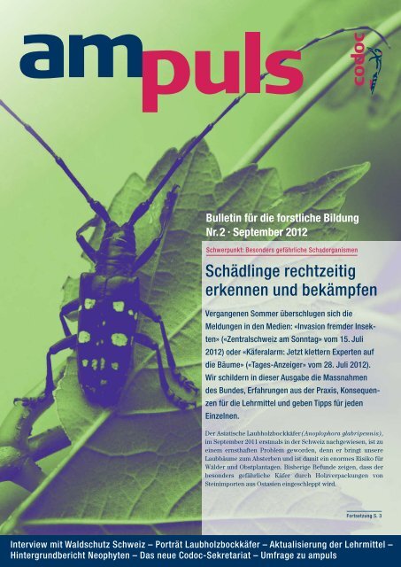 Bulletin für die forstliche Bildung Nr. 2 . September 2012 - Eva Holz ...