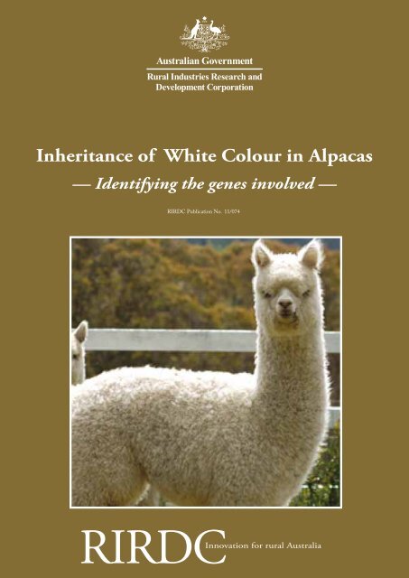 Inheritance of White Colour in Alpacas - Australian Alpaca