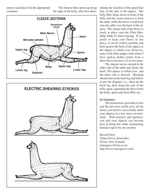 A Guide to Shearing Your Own Alpacas - southland llamas