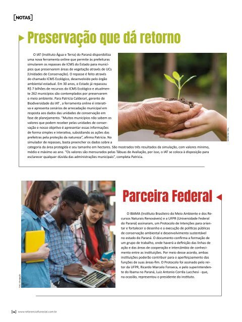 Florestal_238Web