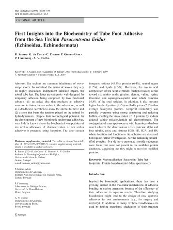 First Insights into the Biochemistry of Tube Foot Adhesive from the ...