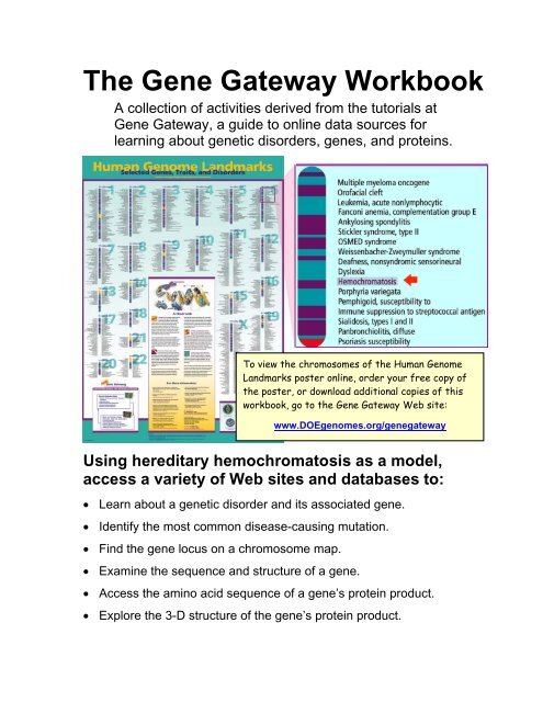 The Gene Gateway Workbook