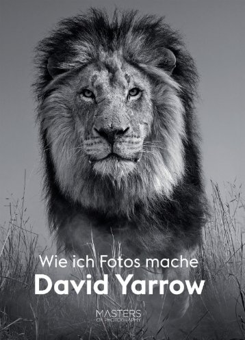 Leseprobe zu  David Yarrow