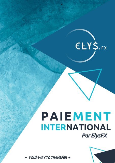 French ElysFX Brochure