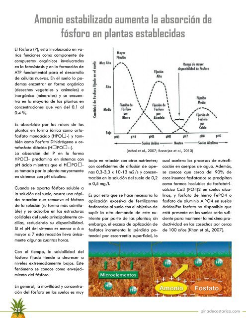 REVISTA PIÑA DE COSTA RICA EDICIÓN 42
