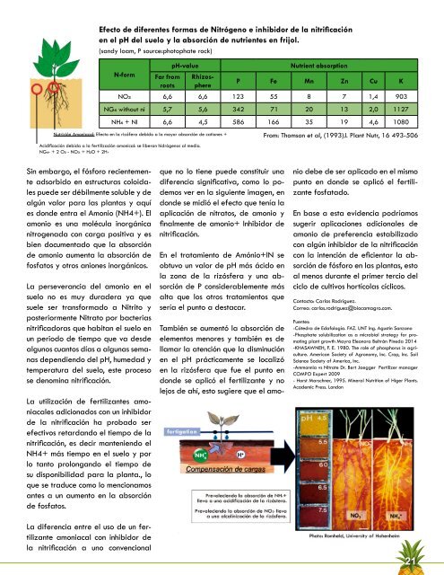 REVISTA PIÑA DE COSTA RICA EDICIÓN 42