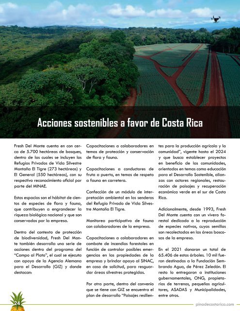 REVISTA PIÑA DE COSTA RICA EDICIÓN 42