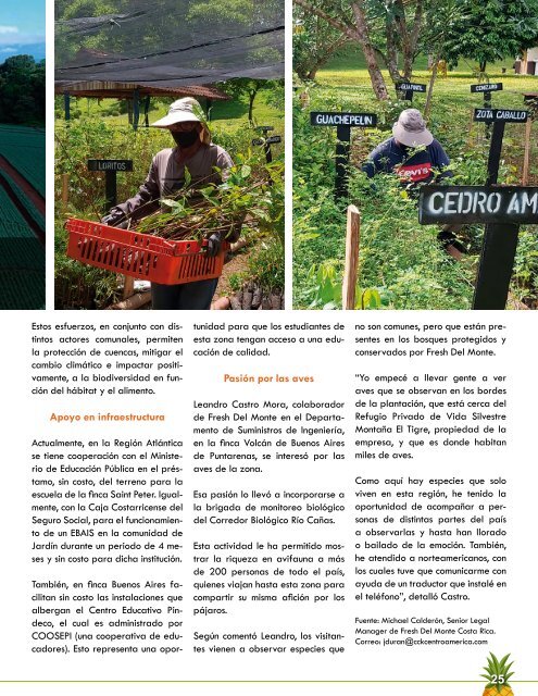 REVISTA PIÑA DE COSTA RICA EDICIÓN 42