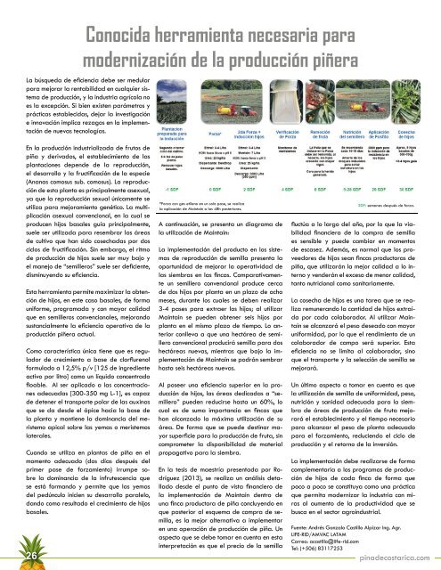 REVISTA PIÑA DE COSTA RICA EDICIÓN 42