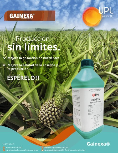 REVISTA PIÑA DE COSTA RICA EDICIÓN 42